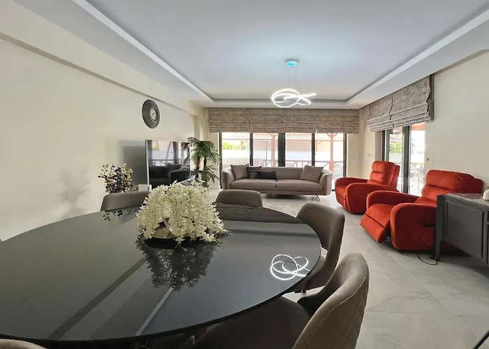 Paradise Town Majesty * ベレキ